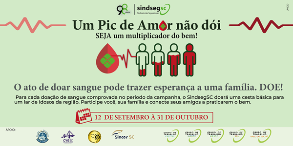 Informe SindsegSC