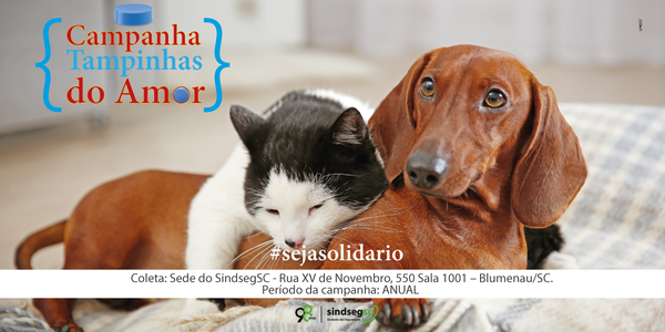 Informe SindsegSC
