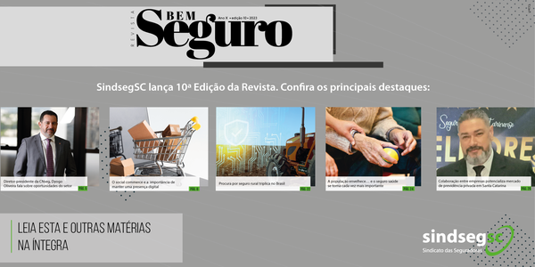 Informe SindsegSC