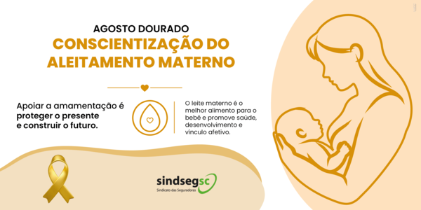 Informe SindsegSC