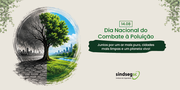Informe SindsegSC